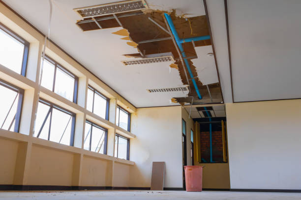 Best Flood restoration services  in Premont, TX