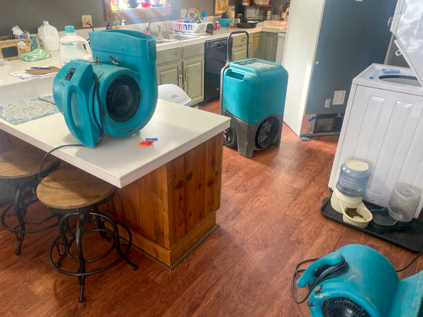 Best Flooded house restoration  in Premont, TX
