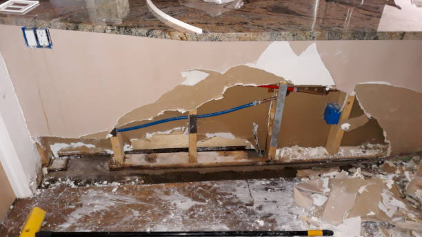 Best Water damage restoration company  in Premont, TX