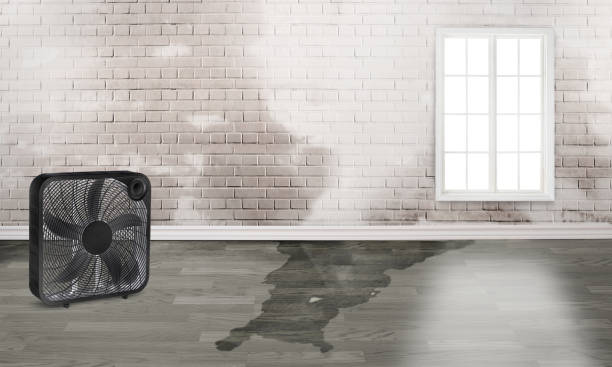 Best 24-hour water damage restoration  in Premont, TX