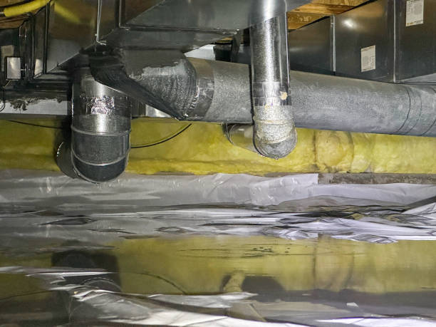 Best Carpet water damage restoration  in Premont, TX