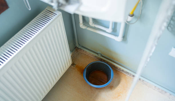 Best Local water damage restoration  in Premont, TX